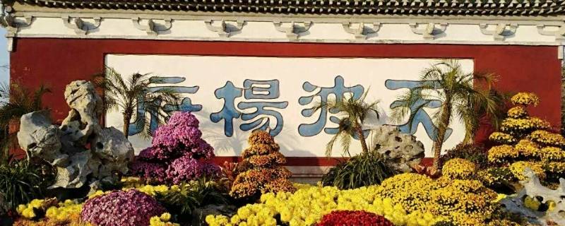 天波杨府在哪里 杨家将子孙列表