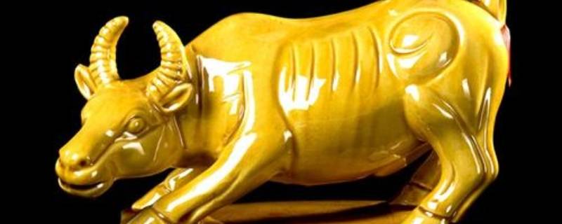 夫指的是什么动物（夫指的是什么动物和生肖）