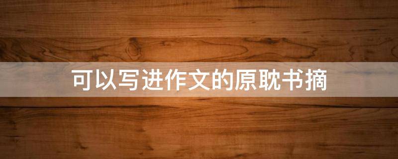 可以写进作文的原耽书摘（写入作文的原耽）