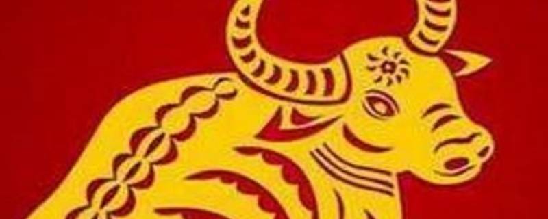 用一句话说2021年（2021年说的一句话）
