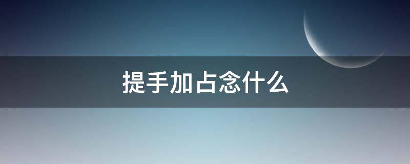 提手加占念什么 提手加个占怎么读