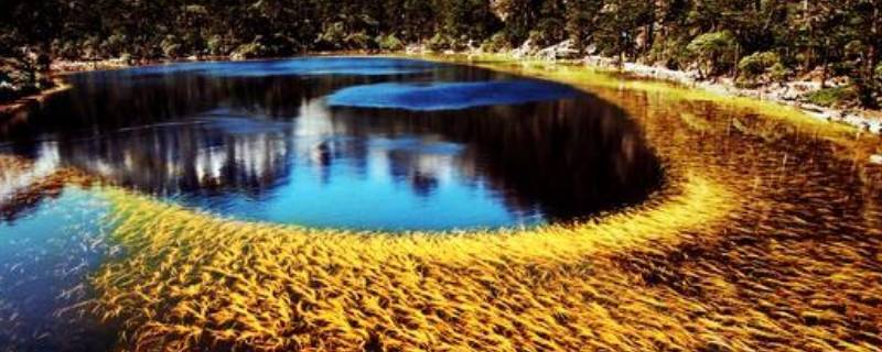 螺髻山在哪里 螺髻山在哪里坐缆车