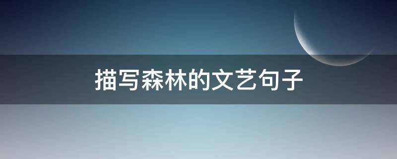 描写森林的文艺句子（描写森林的文艺句子短句）