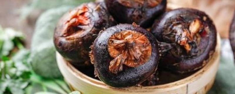 大量荸荠如何长期续存 荸荠可以存放多长时间