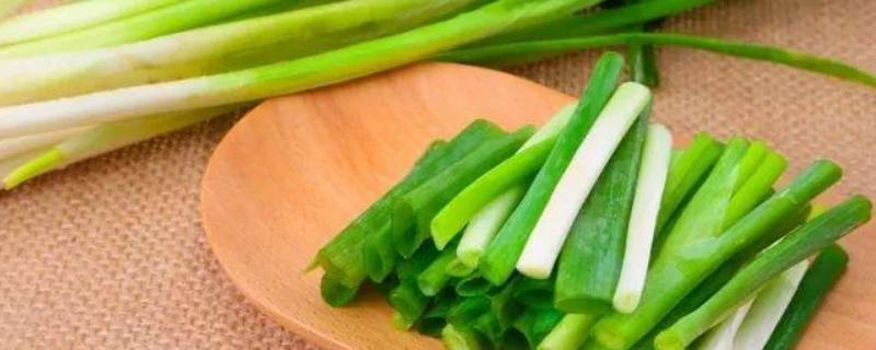 葱上面有蓝色的颜色是什么 葱上面有蓝色的颜色是什么意思