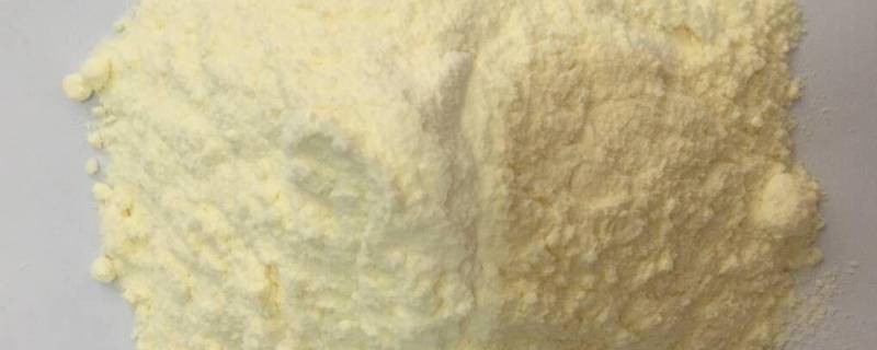 乳清粉是什么东西（乳清蛋白粉是什么）