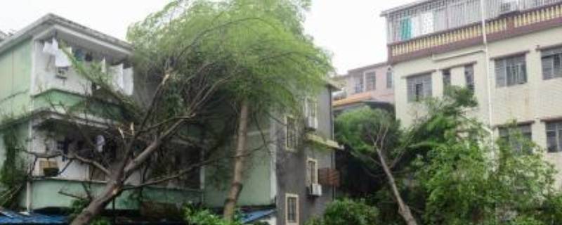 大风黄预警几级 大风黄色预警是什么意思 是什么级别