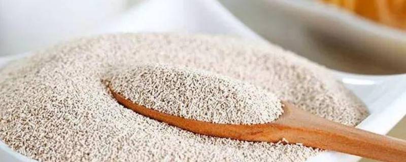 没有打开的酵母过期了还能用吗（酵母粉过期了还能用吗没打开）