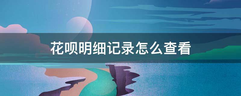 花呗明细记录怎么查看（花呗明细记录怎么查看不到）