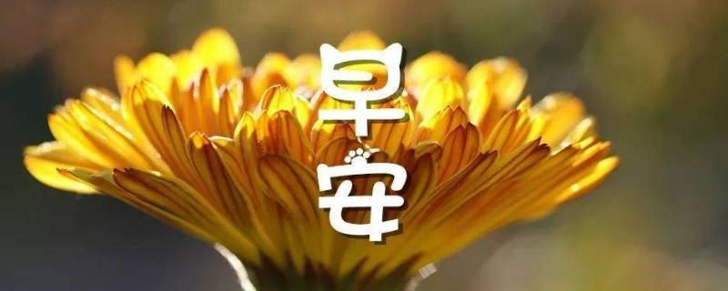 问早的话语（早问候一句话）