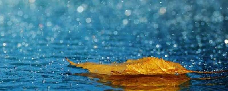 一年级语文雨点儿原文 一年级语文雨点儿原文阅读