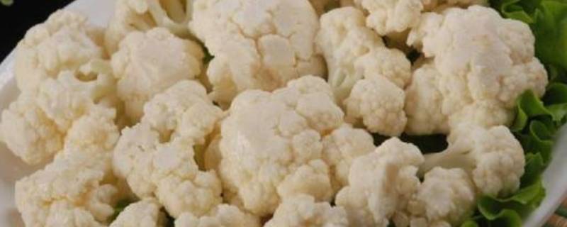 炒菜花是不是一定得先焯水 炒菜花是不是一定得先焯水再炒熟