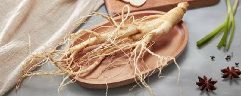 刚挖出来的人参为什么会跑（人参挖出来的时候为什么会跑）