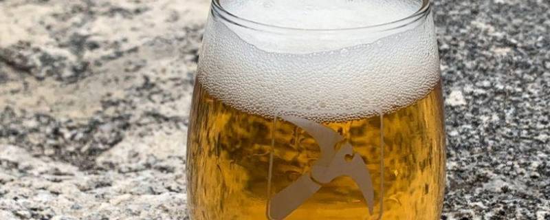 啤酒在零下20度会爆瓶吗（易拉罐啤酒在零下20度会爆瓶吗）