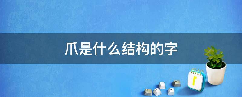 爪是什么结构的字 爪是什么结构的字怎么读