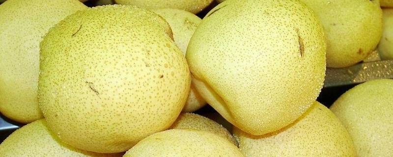梨怕冻吗（梨怕冻吗最低可以多少度）