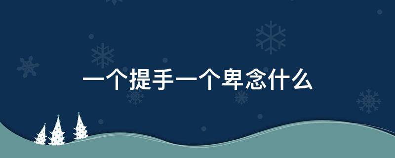 一个提手一个卑念什么 左边一个提手右边一个卑念什么