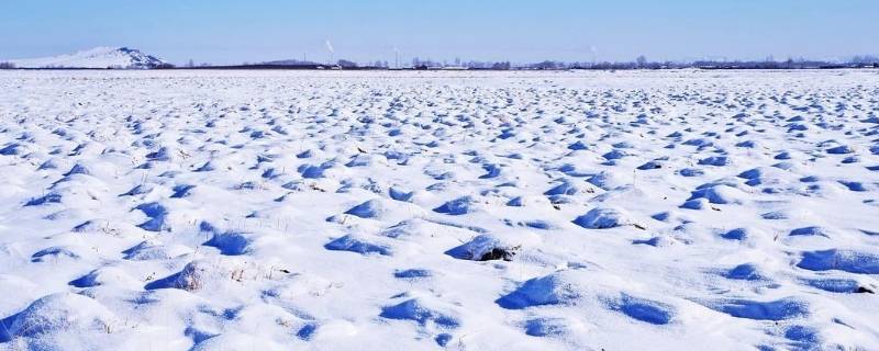 描写雪的优美段落（描写雪的优美段落50字）