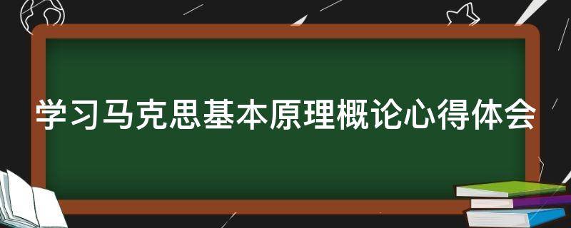 学习马克思基本原理概论心得体会