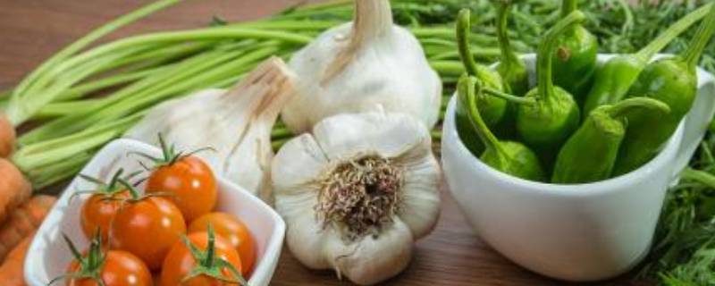 什么是有机蔬菜（什么是有机蔬菜和无机蔬菜）