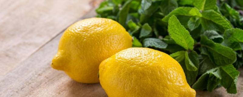 柠檬冻了还能泡水吗（柠檬冻了还能泡水吗百度百科）