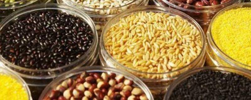 黑小麦是粗粮还是细粮 黑小麦面粉和普通面粉的区别