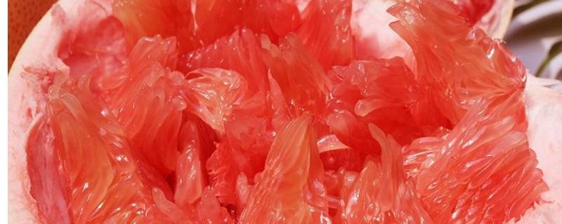 红柚发苦是怎么回事能不能吃（红柚子发苦是怎么回事能不能吃）