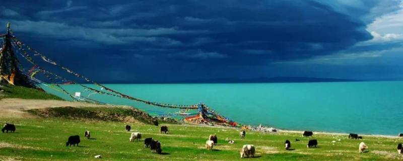 青海湖的面积是4635什么单位 青海湖的面积是4583单位是什么