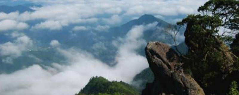 山赶着山 山赶着山,人赶着人