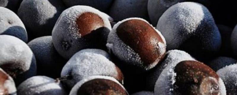 冻梨要在冰箱冻多久（冻梨的功效与作用）