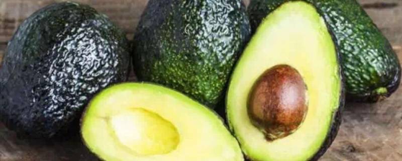 牛油果怕冻吗 牛油果油会冻住吗