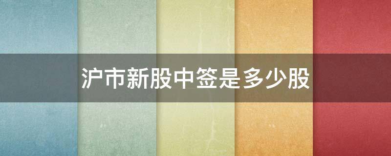 沪市新股中签是多少股（沪市新股申购中签多少股）