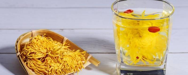 哪种菊花叫青驰菊 青驰菊是什么菊花