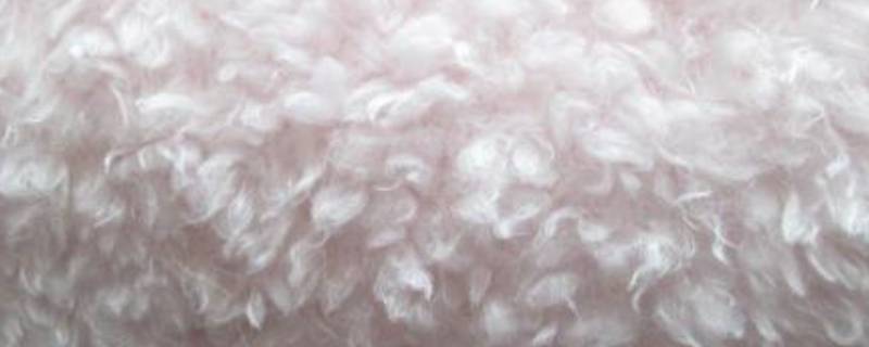 绒毛和茸毛有什么区别 绒毛和茸毛有什么区别a