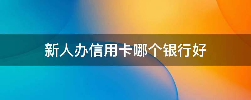 新人办信用卡哪个银行好（新人办信用卡哪个银行好办）