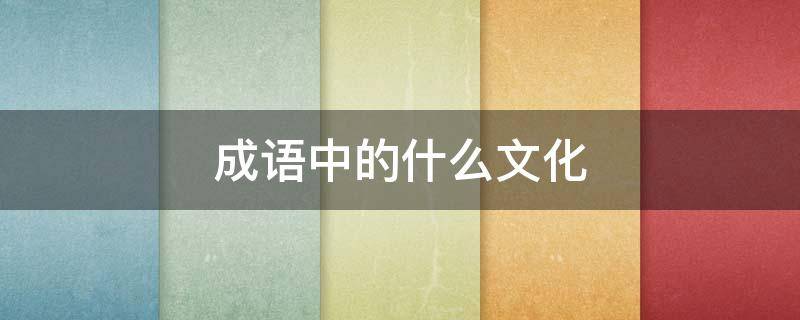 成语中的什么文化 成语中的什么文化作文