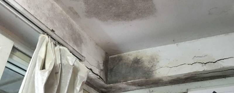 失火墙面被熏黑怎么处理（墙面被烟熏黑处理的简便方法）
