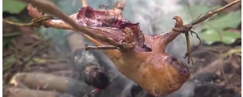 竹鼠怎样做着吃 新鲜竹鼠怎样做着吃