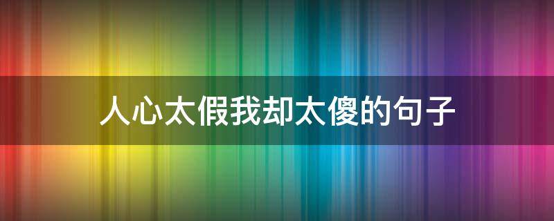 人心太假我却太傻的句子（人傻心不傻的句子）