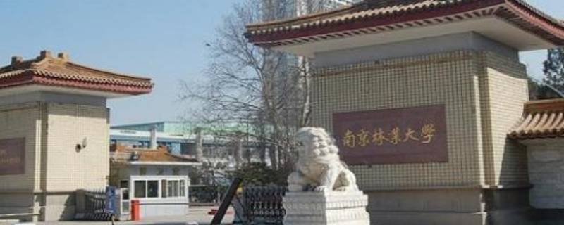 南京林业大学属于985 南京林业大学属于985211吗