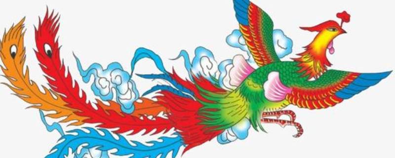 凤凰是什么鸟（真正凤凰的样子）