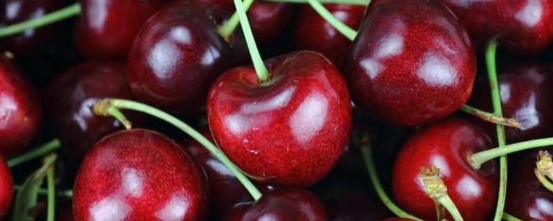 车厘子26-28mm是几j（车厘子24~26mm是多大）