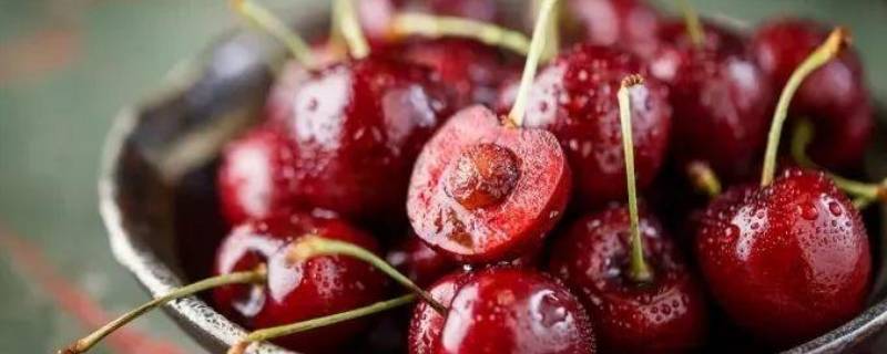 车厘子是热带水果吗（车厘子是热带水果吗?）