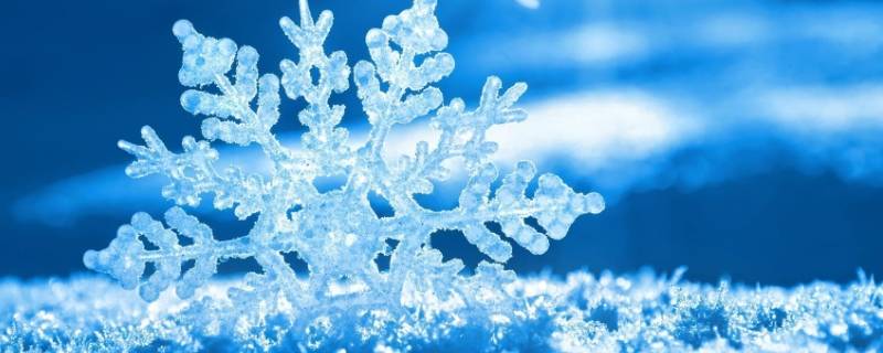 顽皮的雪花仿写拟人句 用雪花仿写拟人句