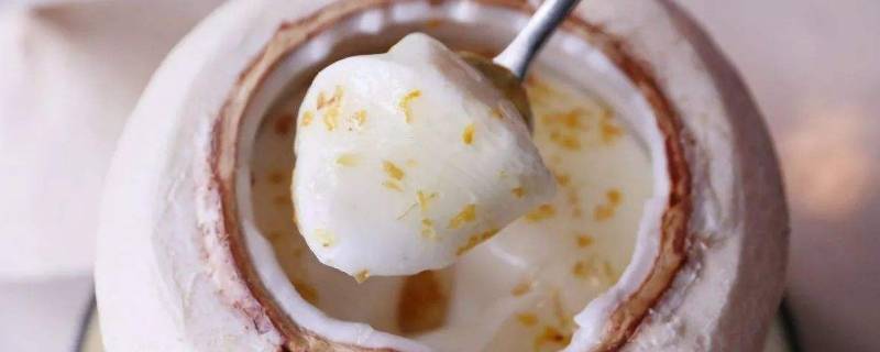 coconut是什么水果