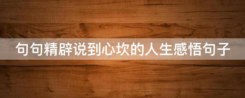 句句精辟说到心坎的人生感悟句子（说到心坎的经典句子）