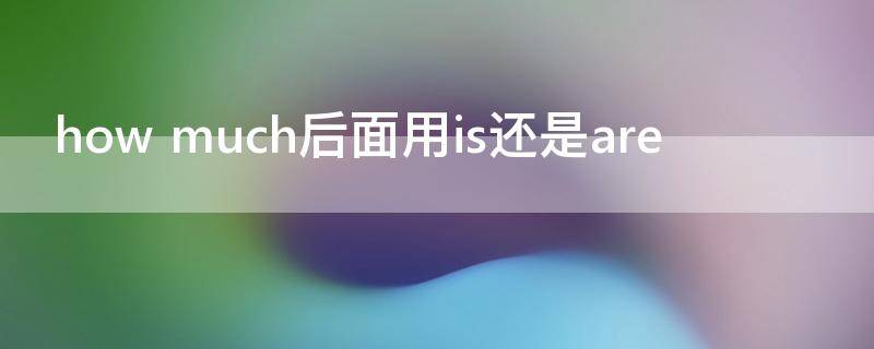 how much后面用is还是are
