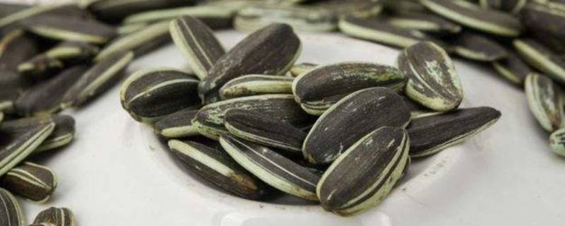 瓜子里面含有什么成分