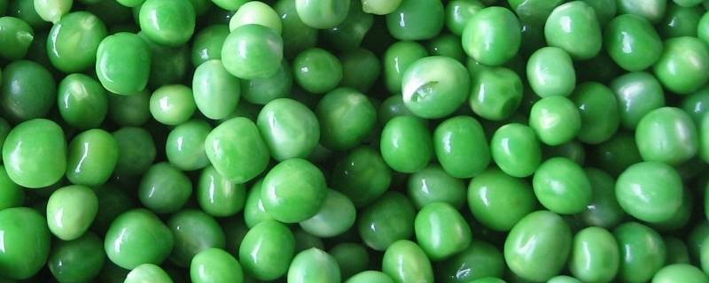 青豆是不是豌豆 青豆是不是豌豆米