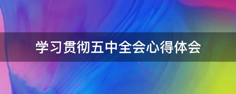 学习贯彻五中全会心得体会